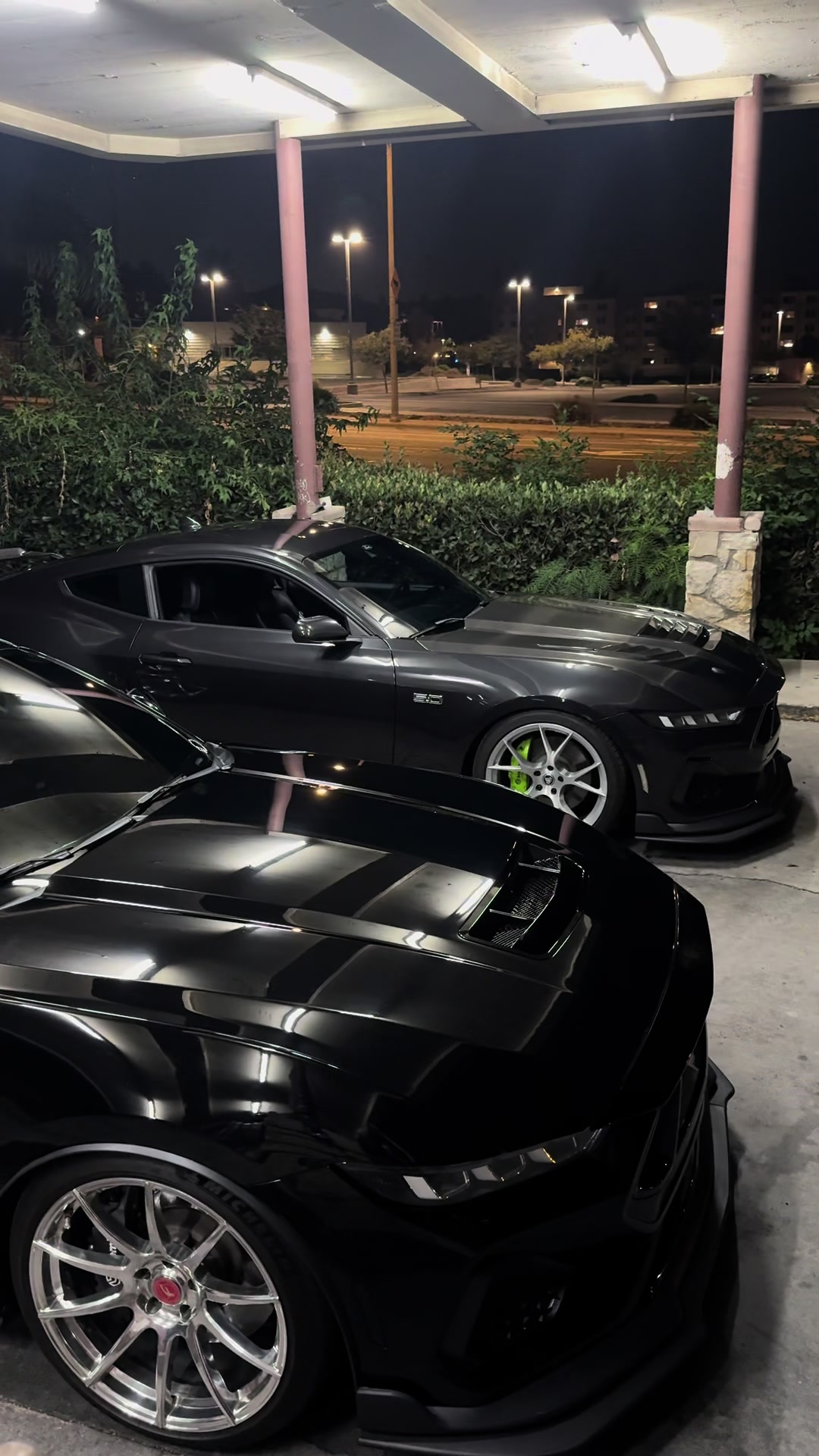 @alt_pony