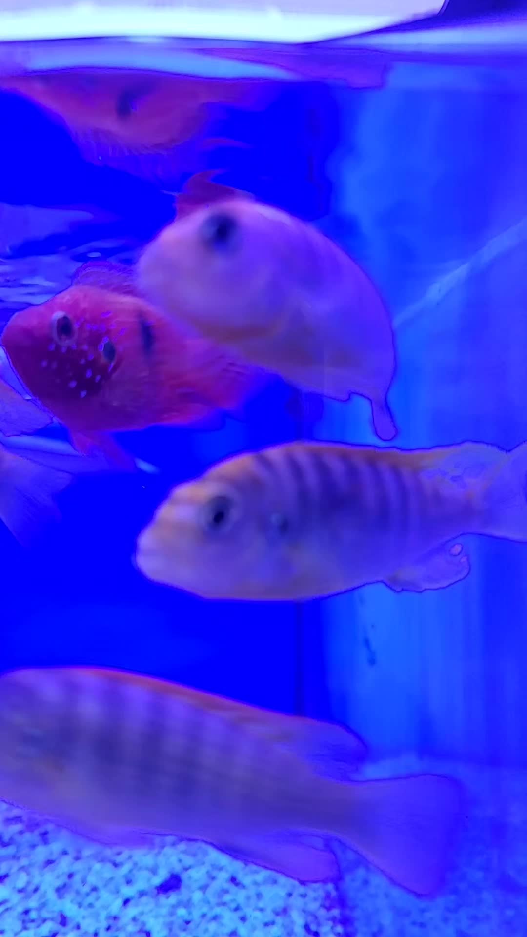 @Darusticsaltwateradventures