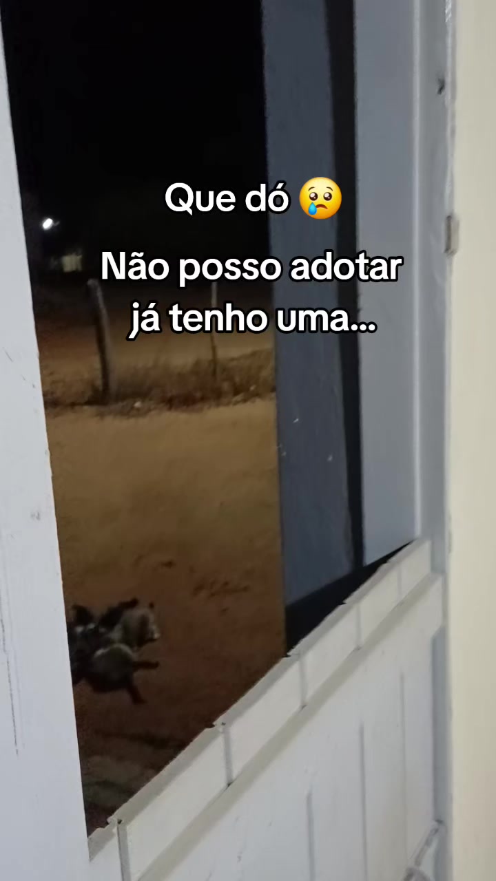 @Amante da natureza