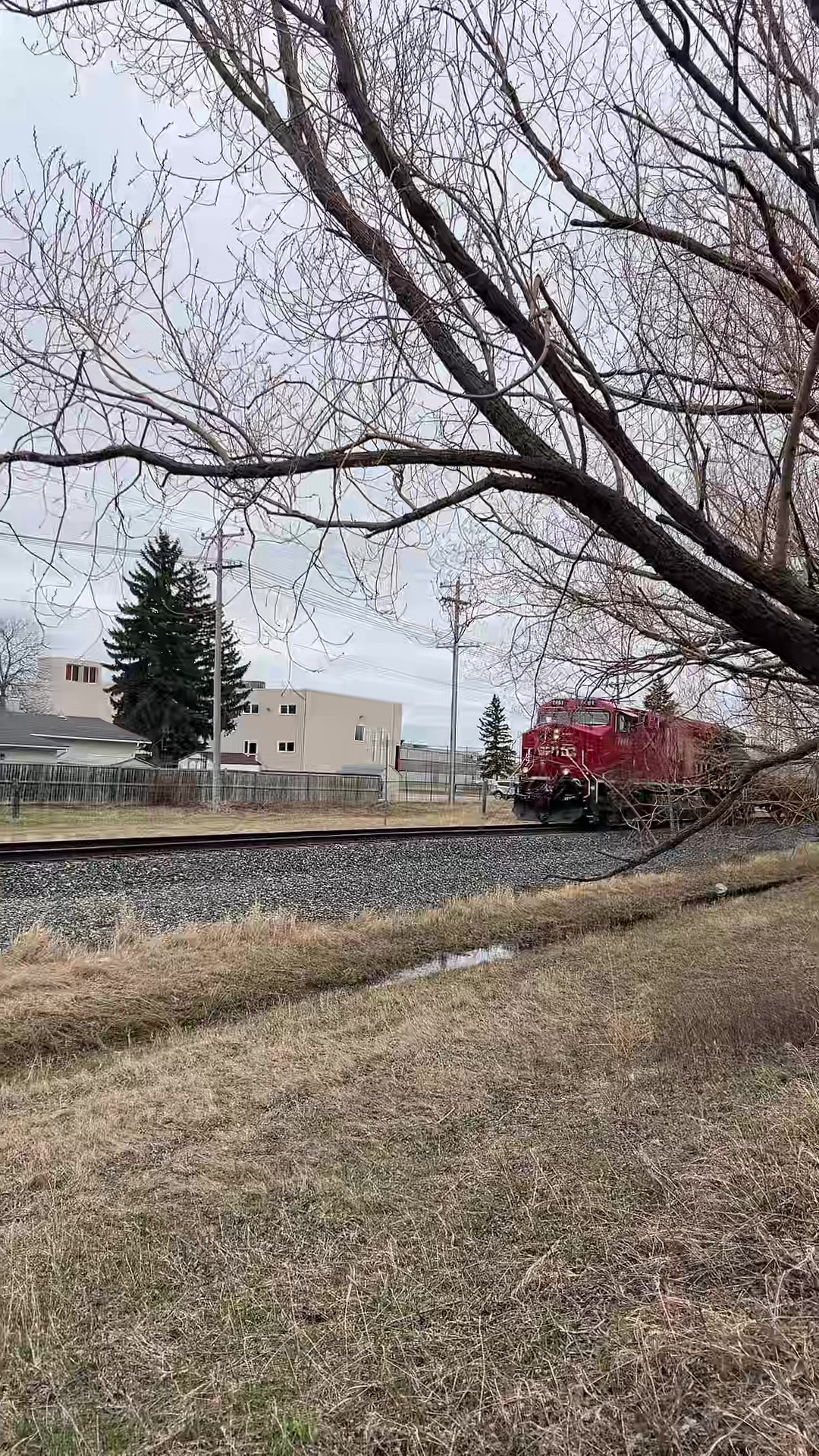 @Friendly _Winnipeg