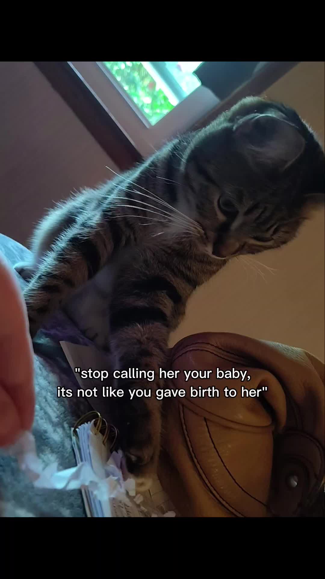 @Colleenmoonrise