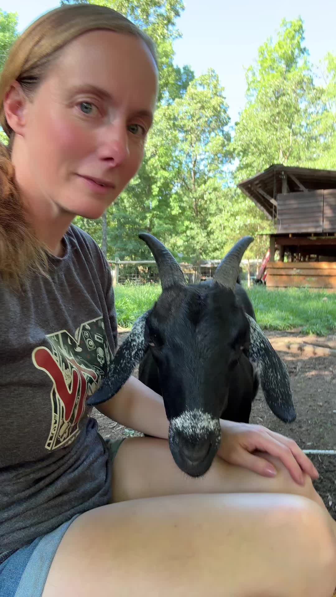 @Gray Acres Homestead