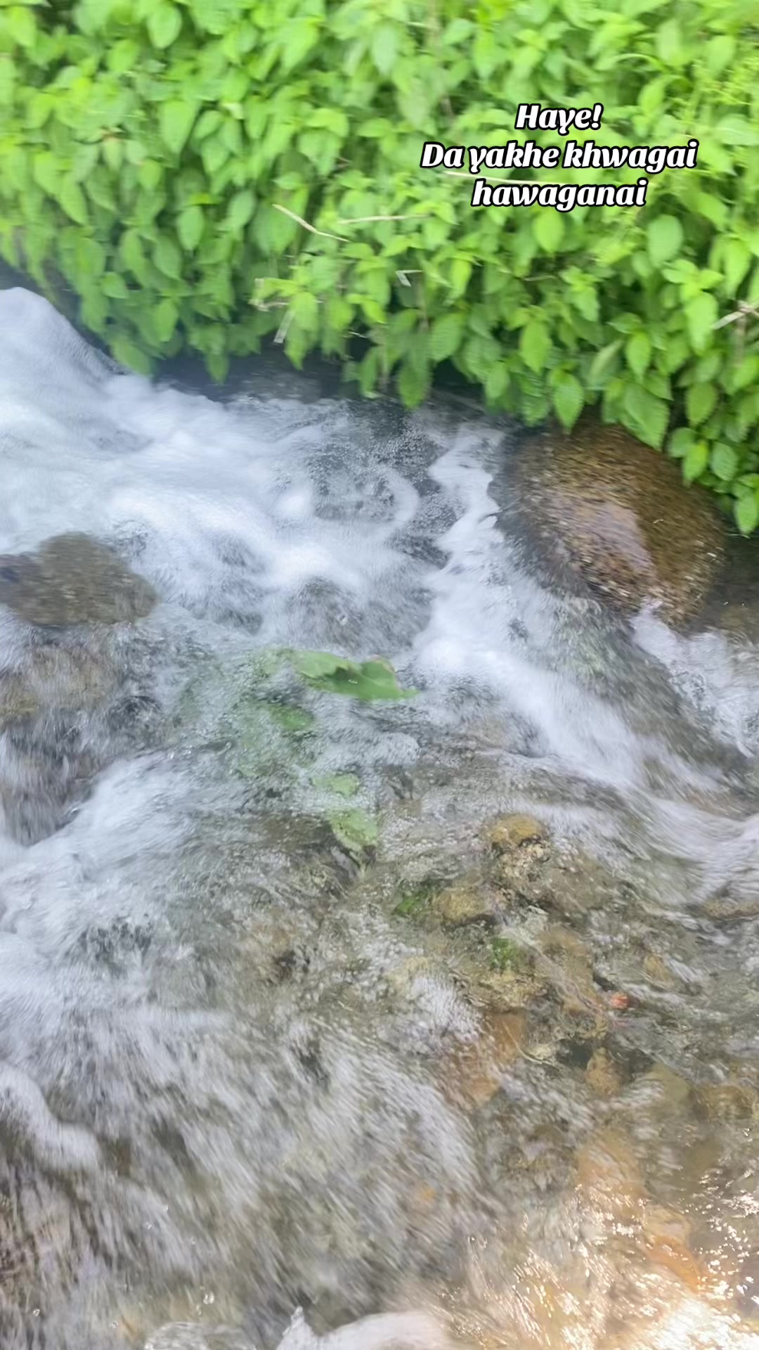 @گل