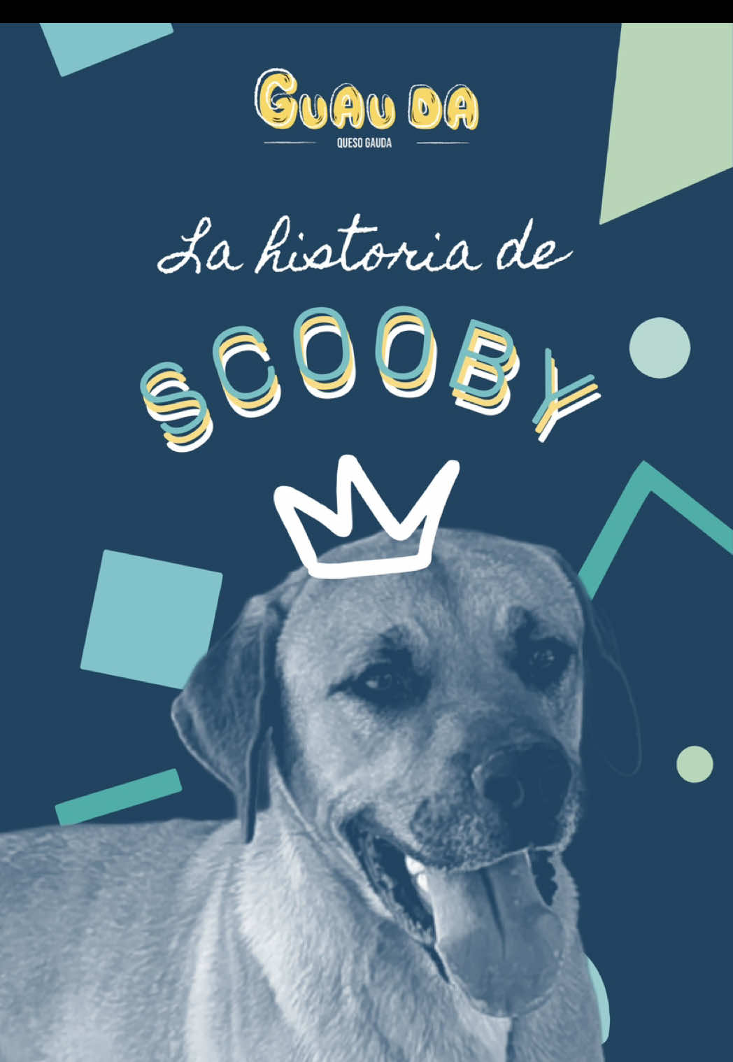 @Guau Da 🐶