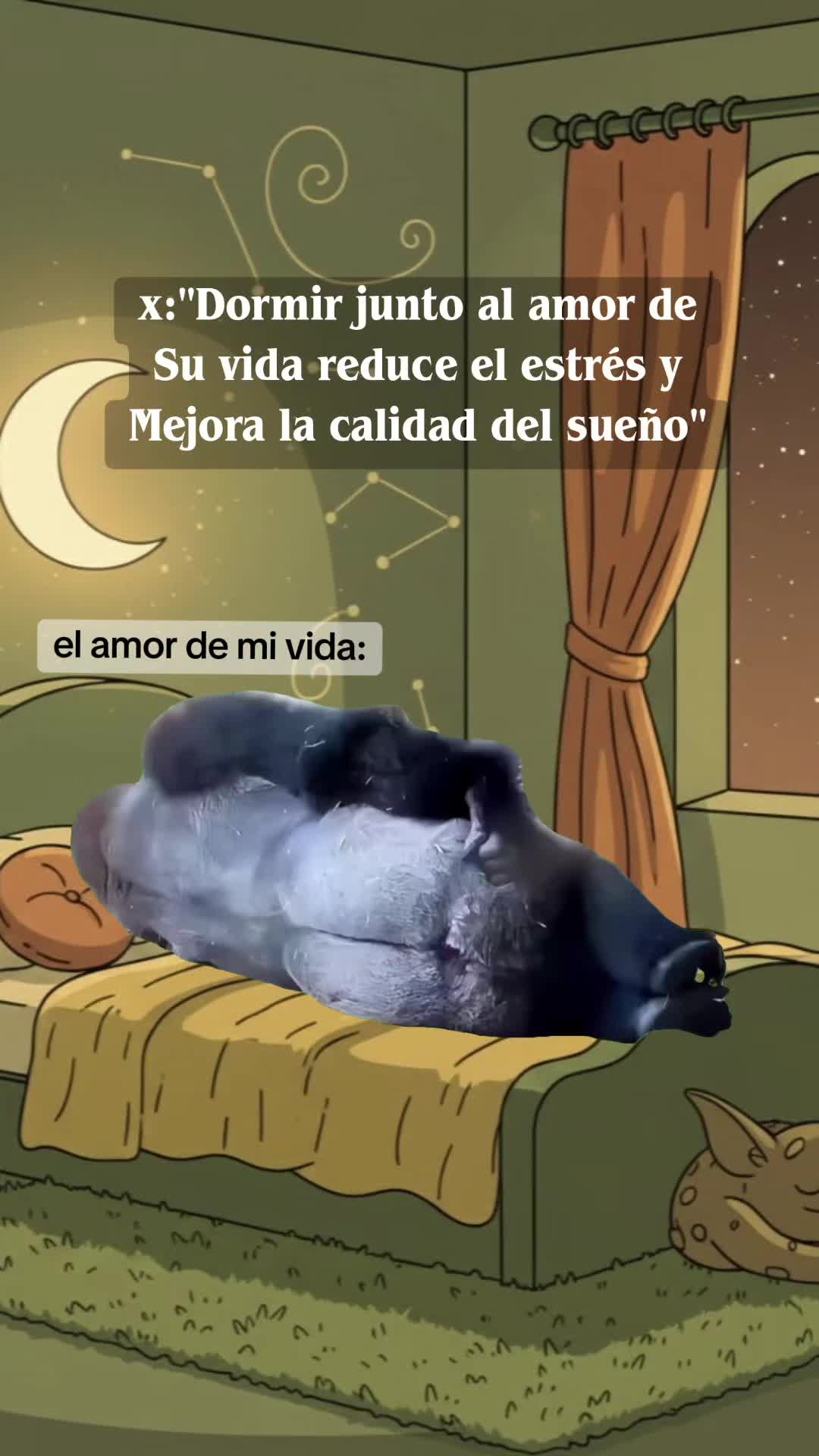 @Isaa