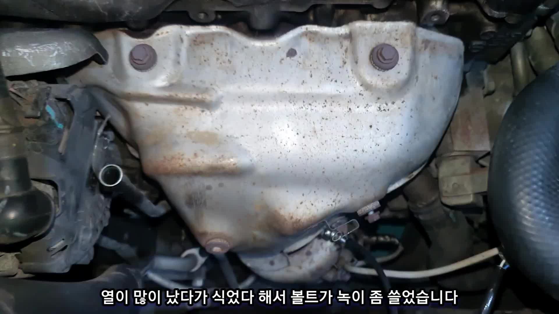 @귀여운친구