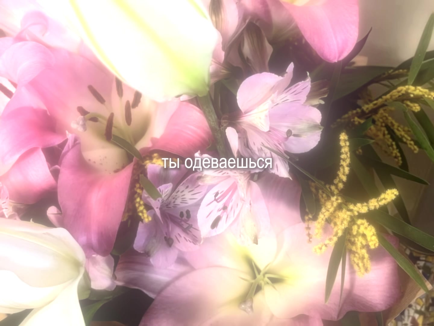 @звуки для липсингов