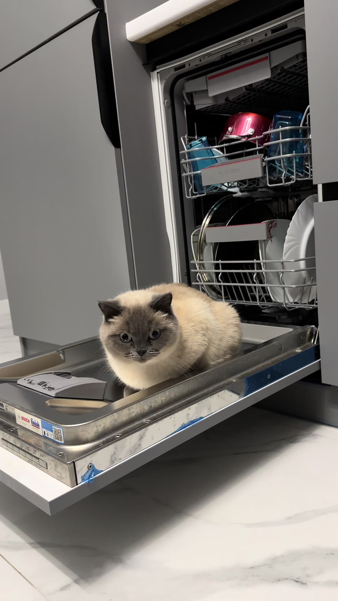 @Трускавецька киця 😻