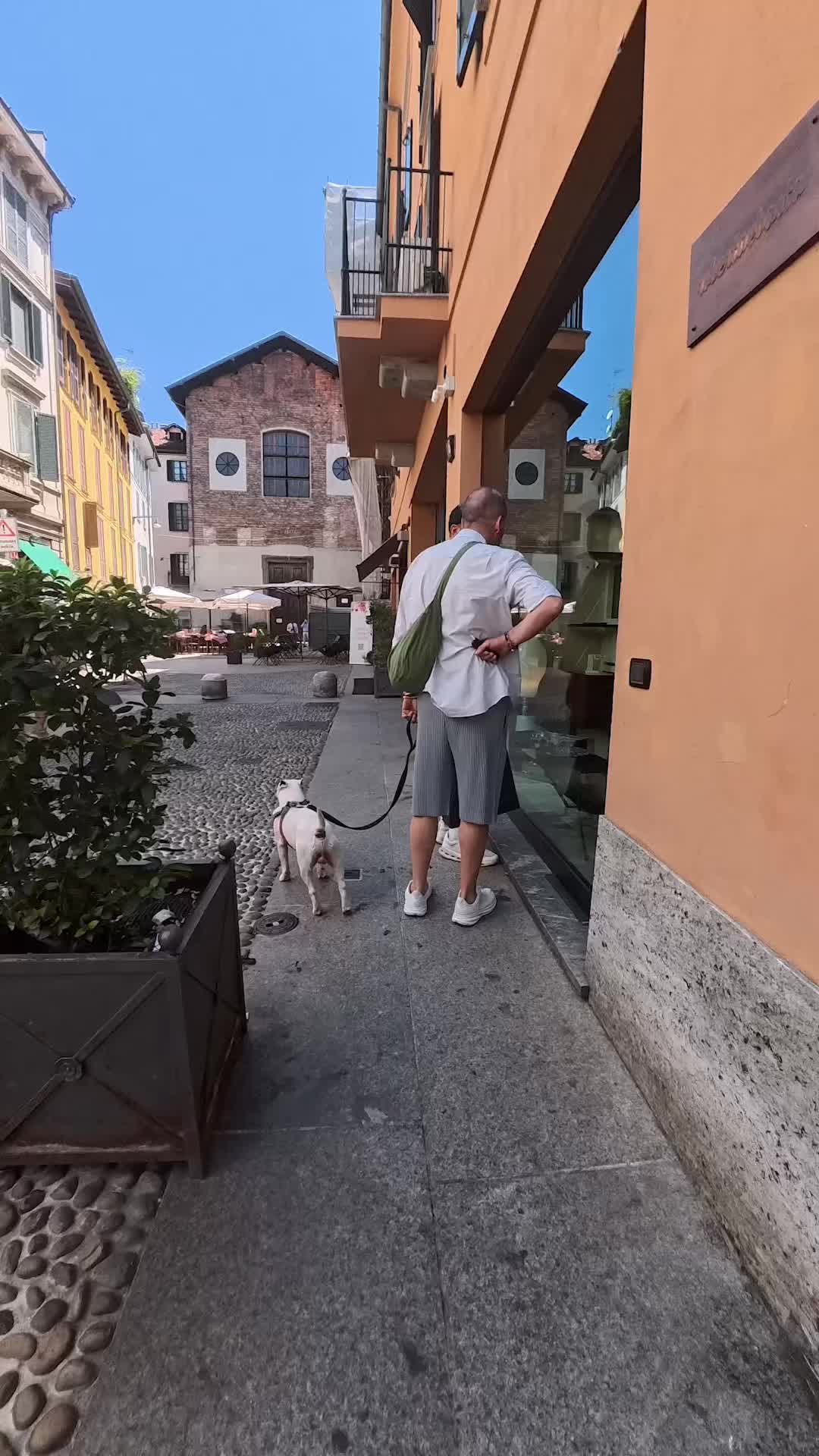 @Doggodaiily