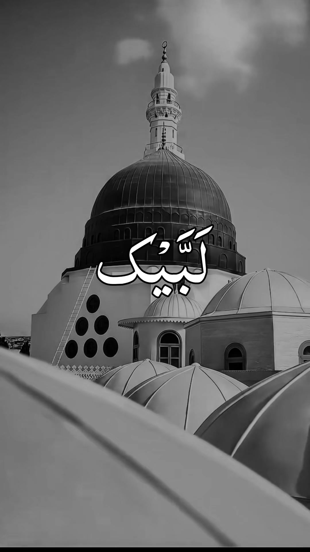 @❣️ Words of Allah ❣️