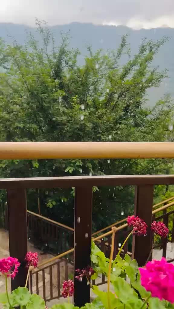 @Aqsa Abbasi