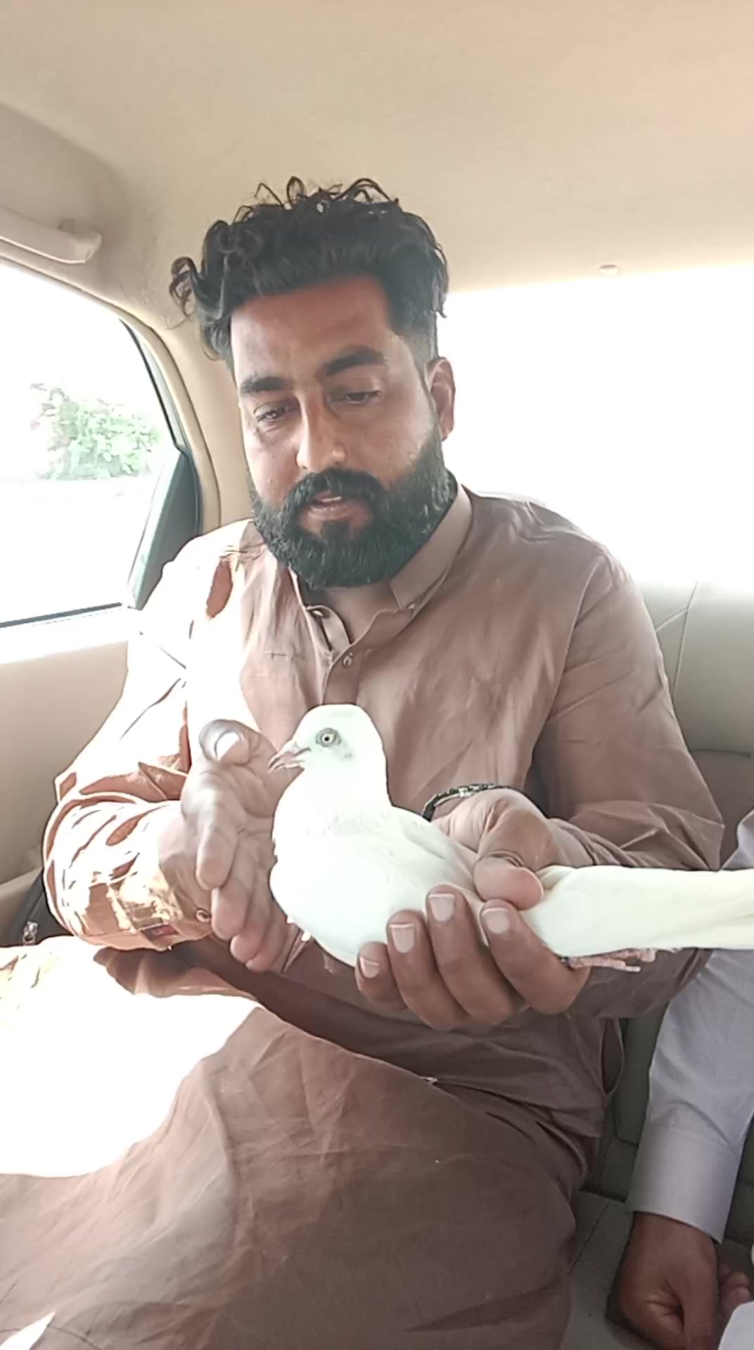 @mani Dogar 7/11