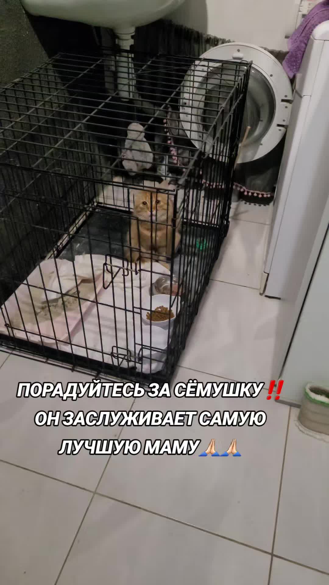 @marinka20_09
