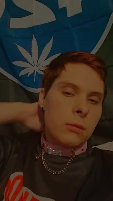 @brat_pup_420