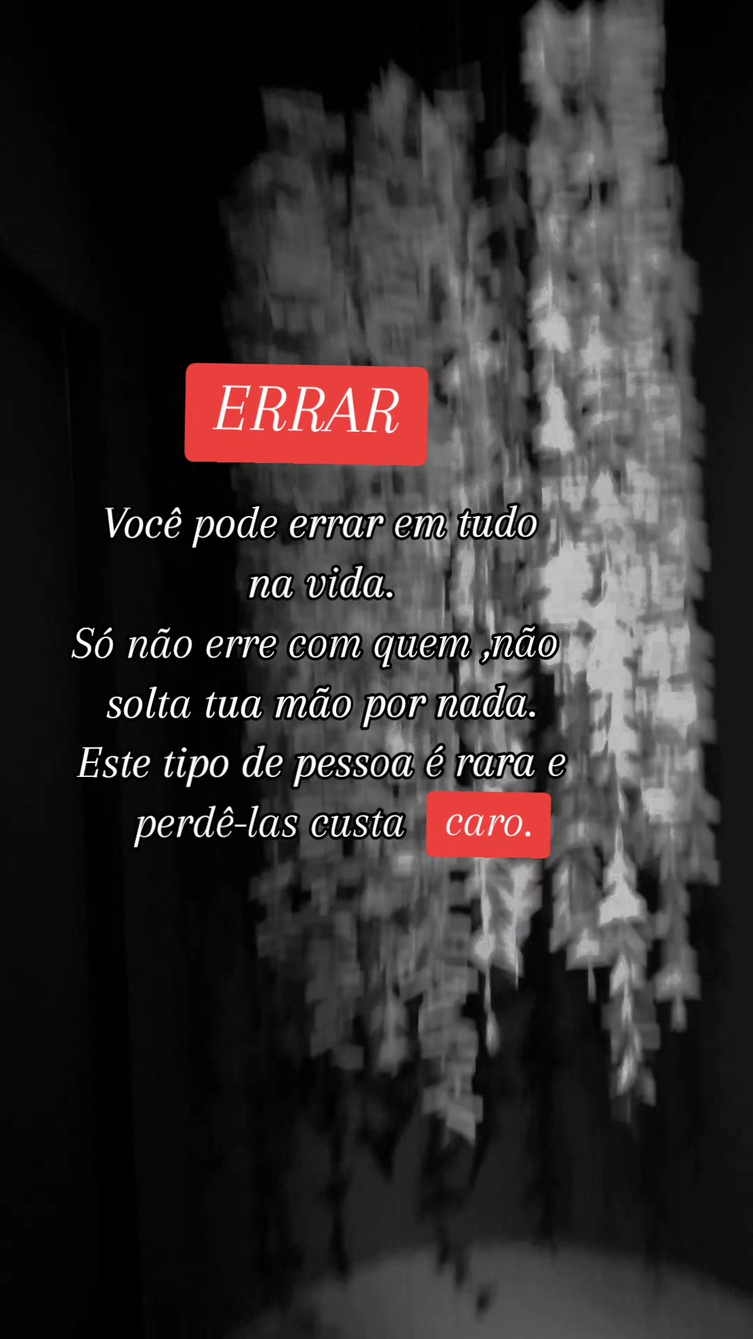 @Andreia Nogueira