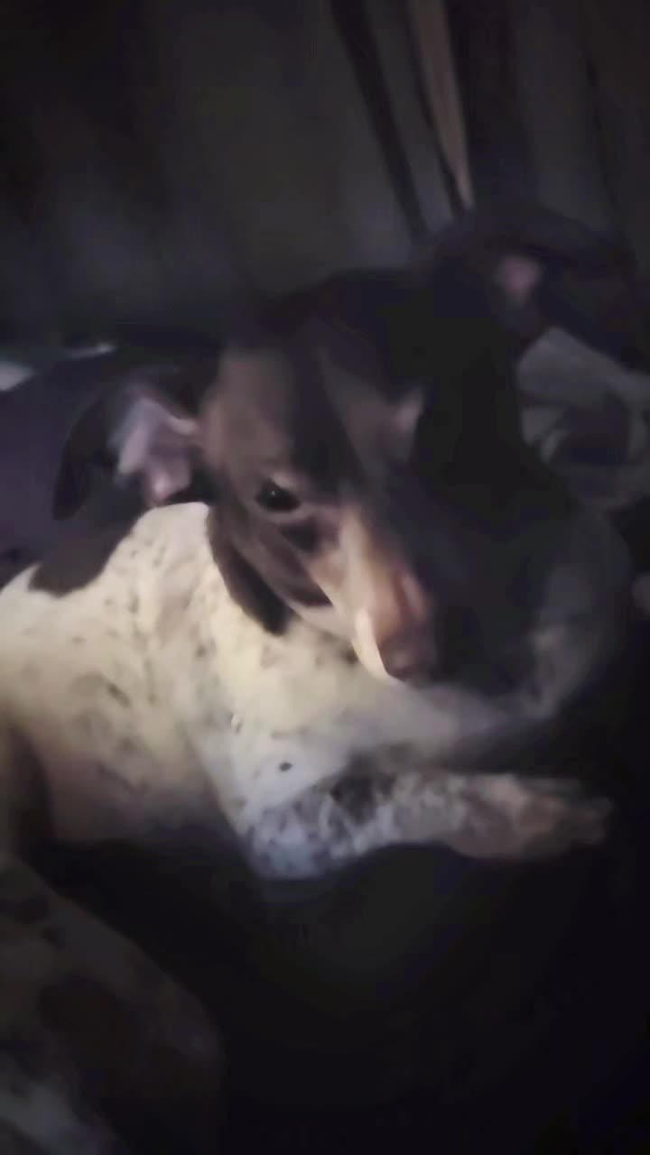 @🥰sammiee🥰