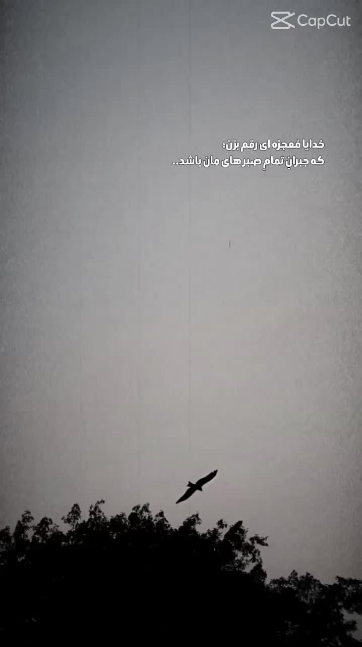 @Shadokht Tofany