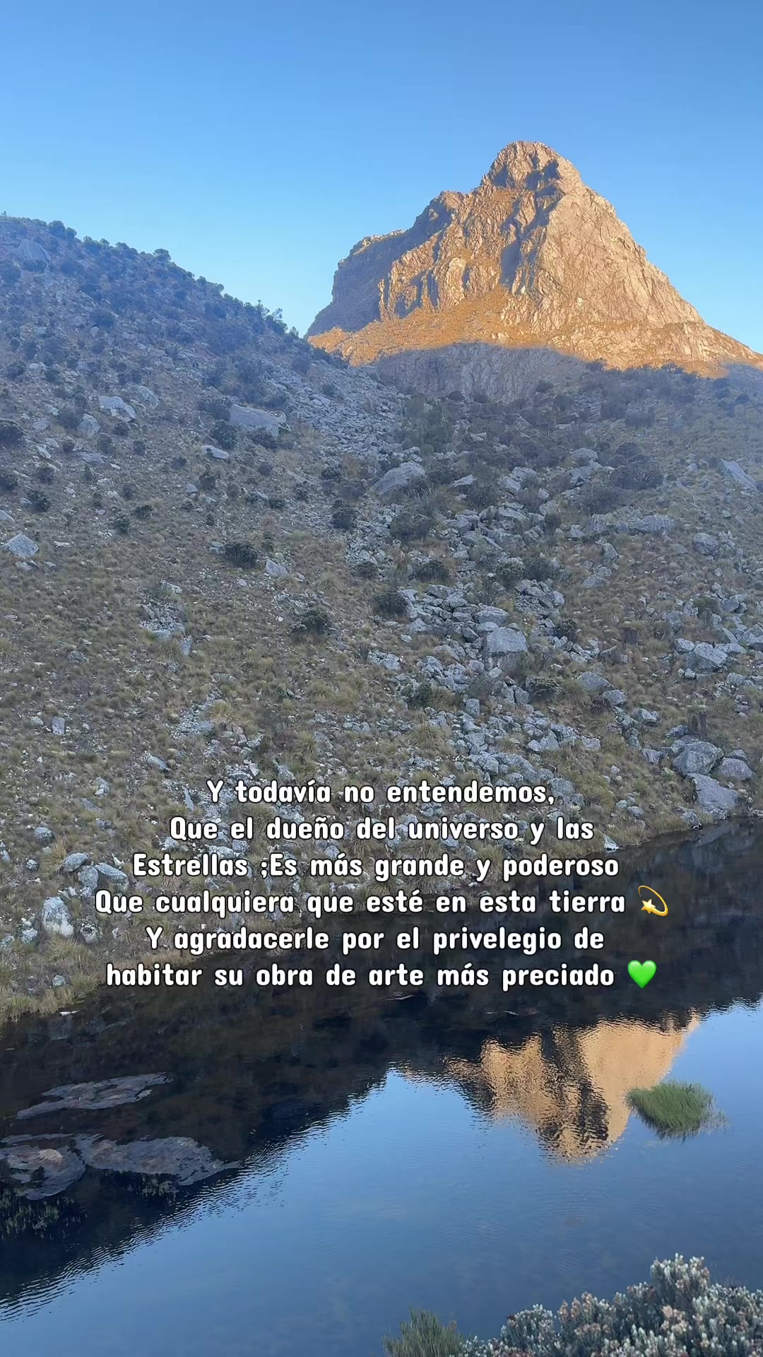 @Valentina Bernal