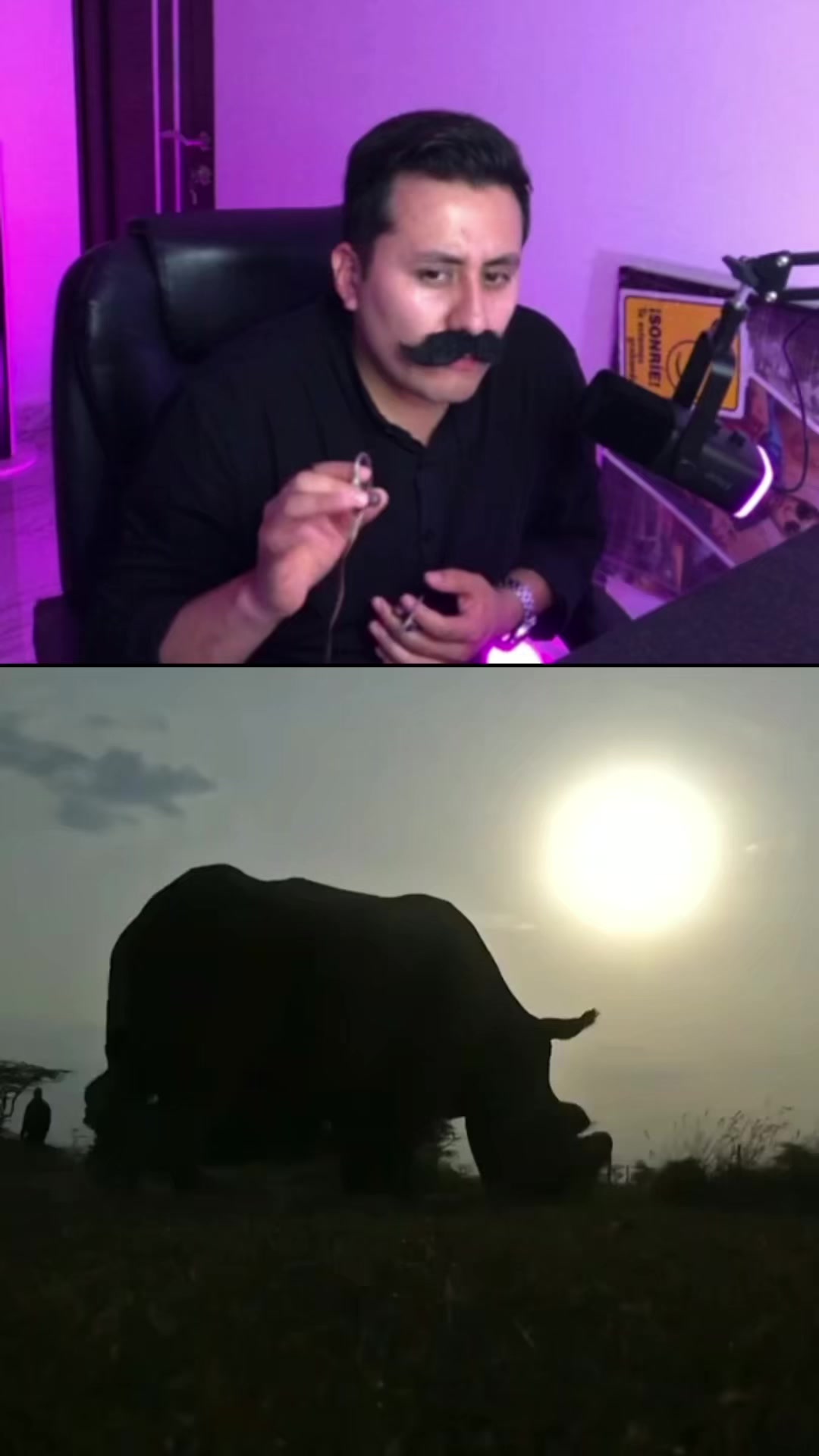 @eltannovio