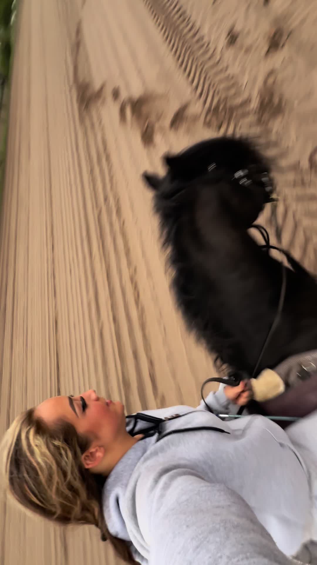 @Horses