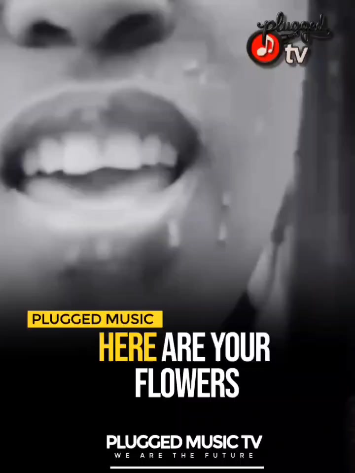 @Plugged Music TV