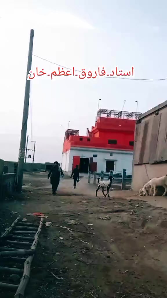 @ustadfarooqazamkhan