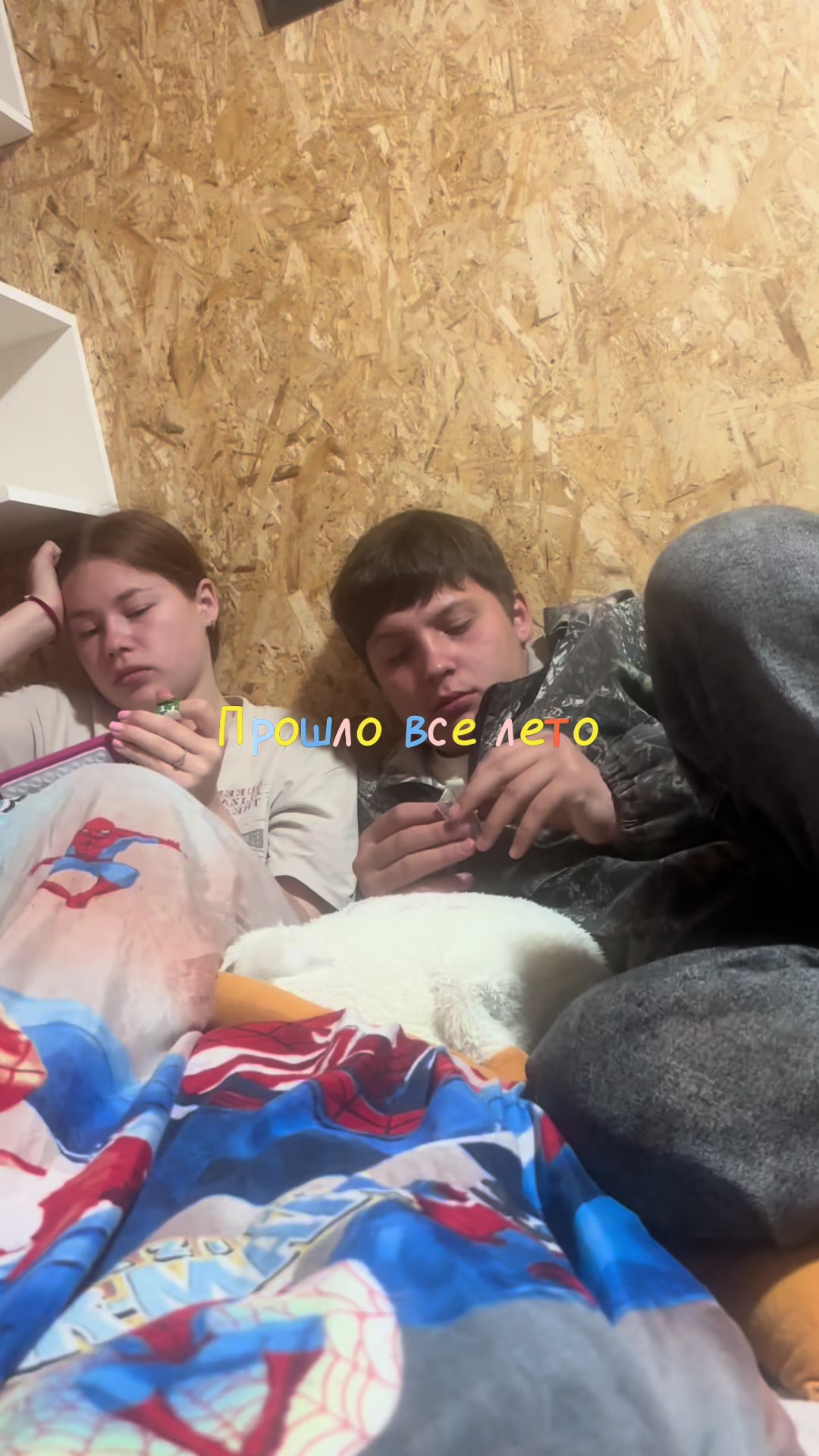 @Я Тёма
