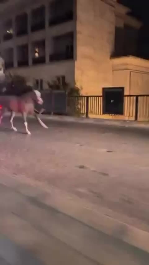 @محمد عثمان - Mohamed Othman