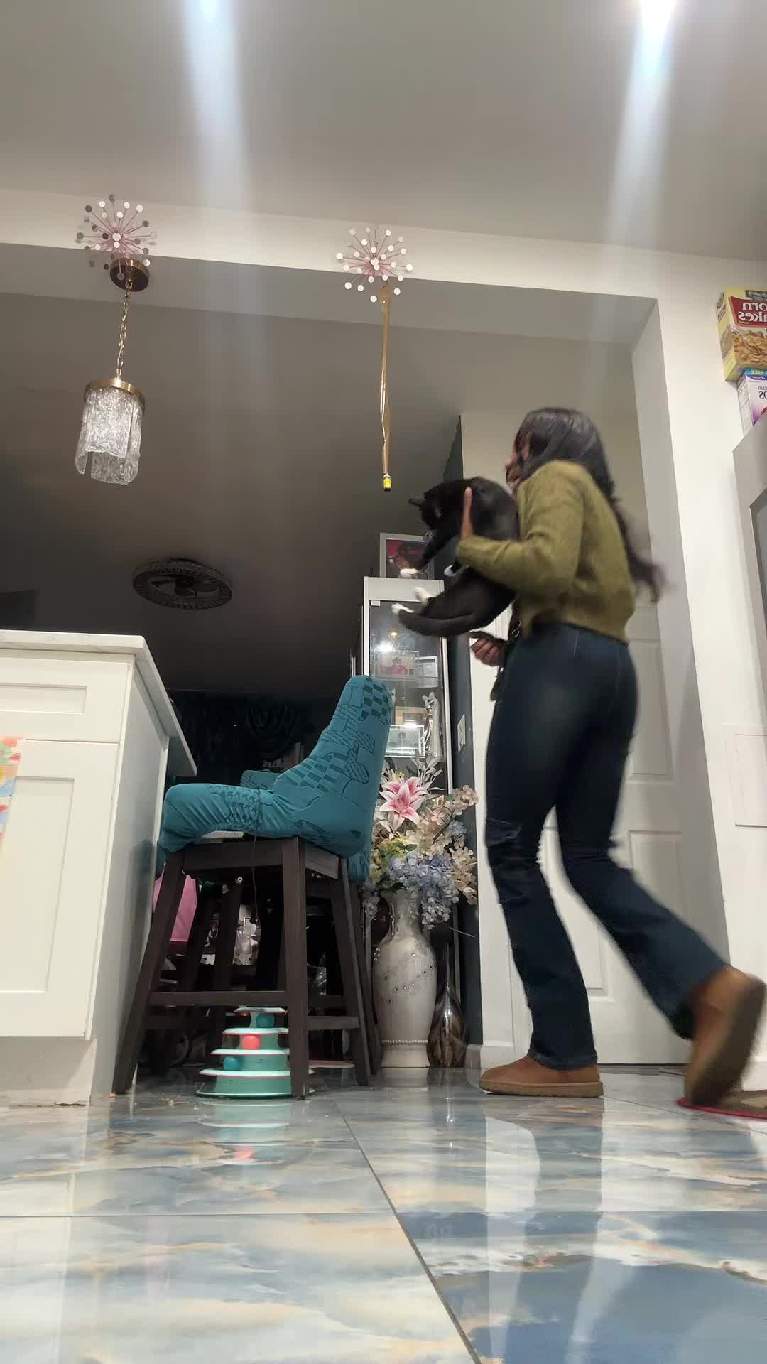 @Dani