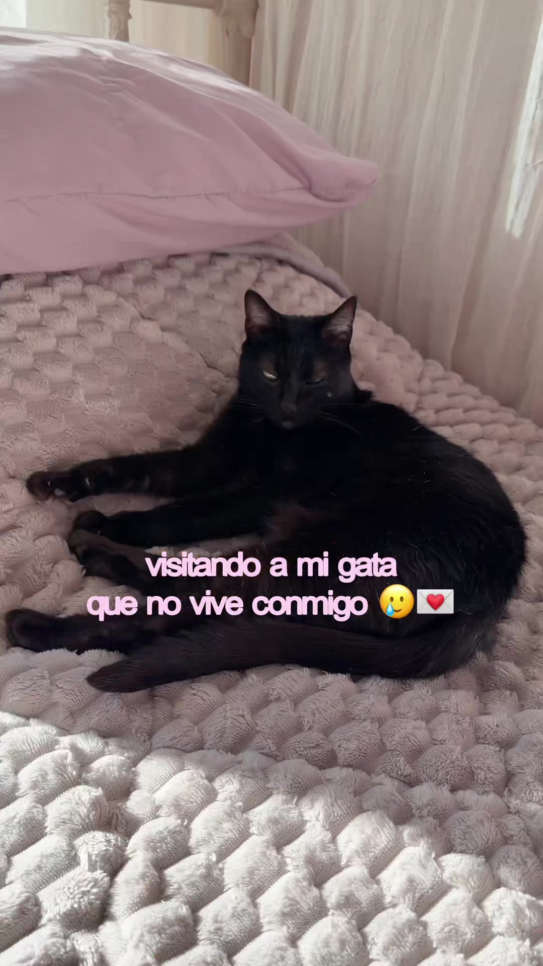 @Tati