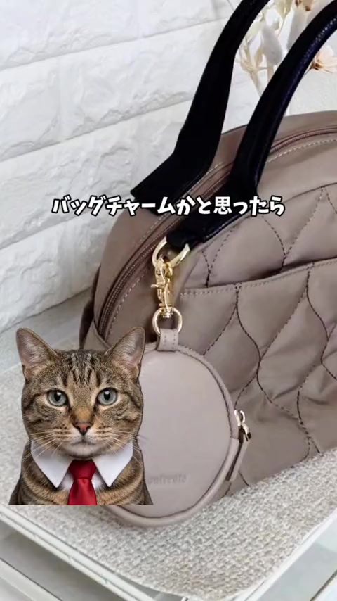 @しんのすけ🐾