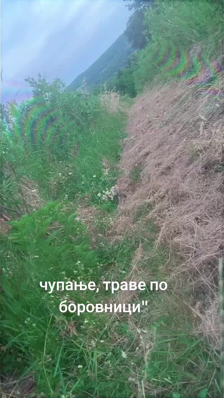 @Икааааааа💙
