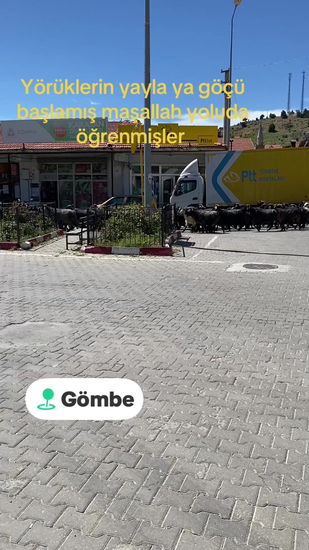 @Atilla_Arıcı07