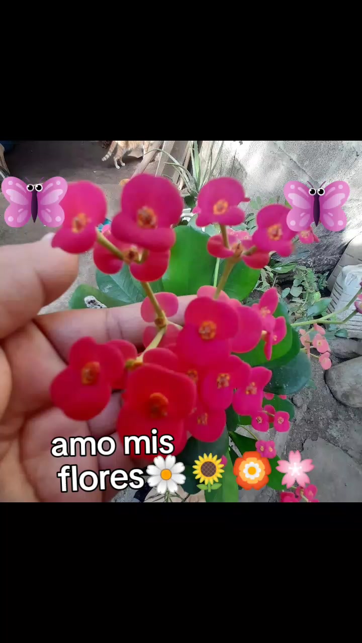 @😘Yeii Lopez😘