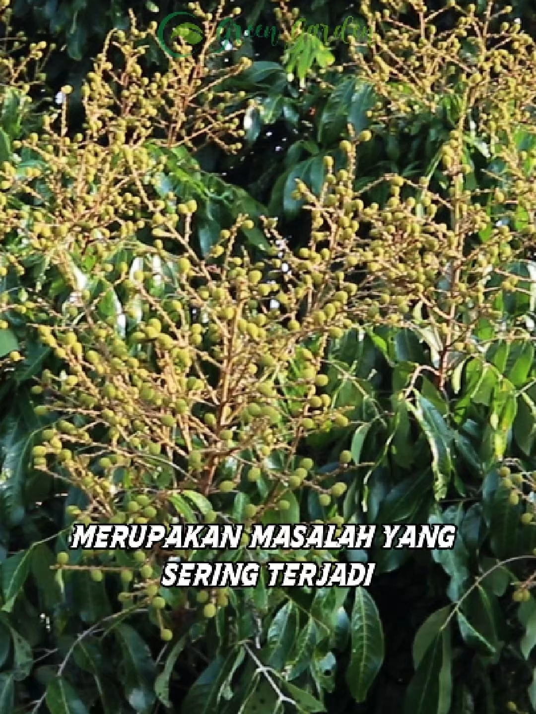 @adyrajalengkeng