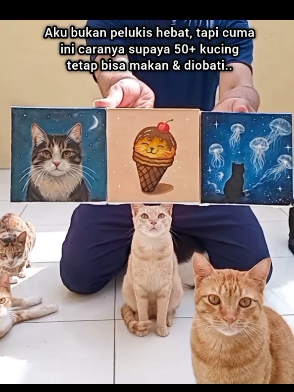 @Kucing Rumah Ronal