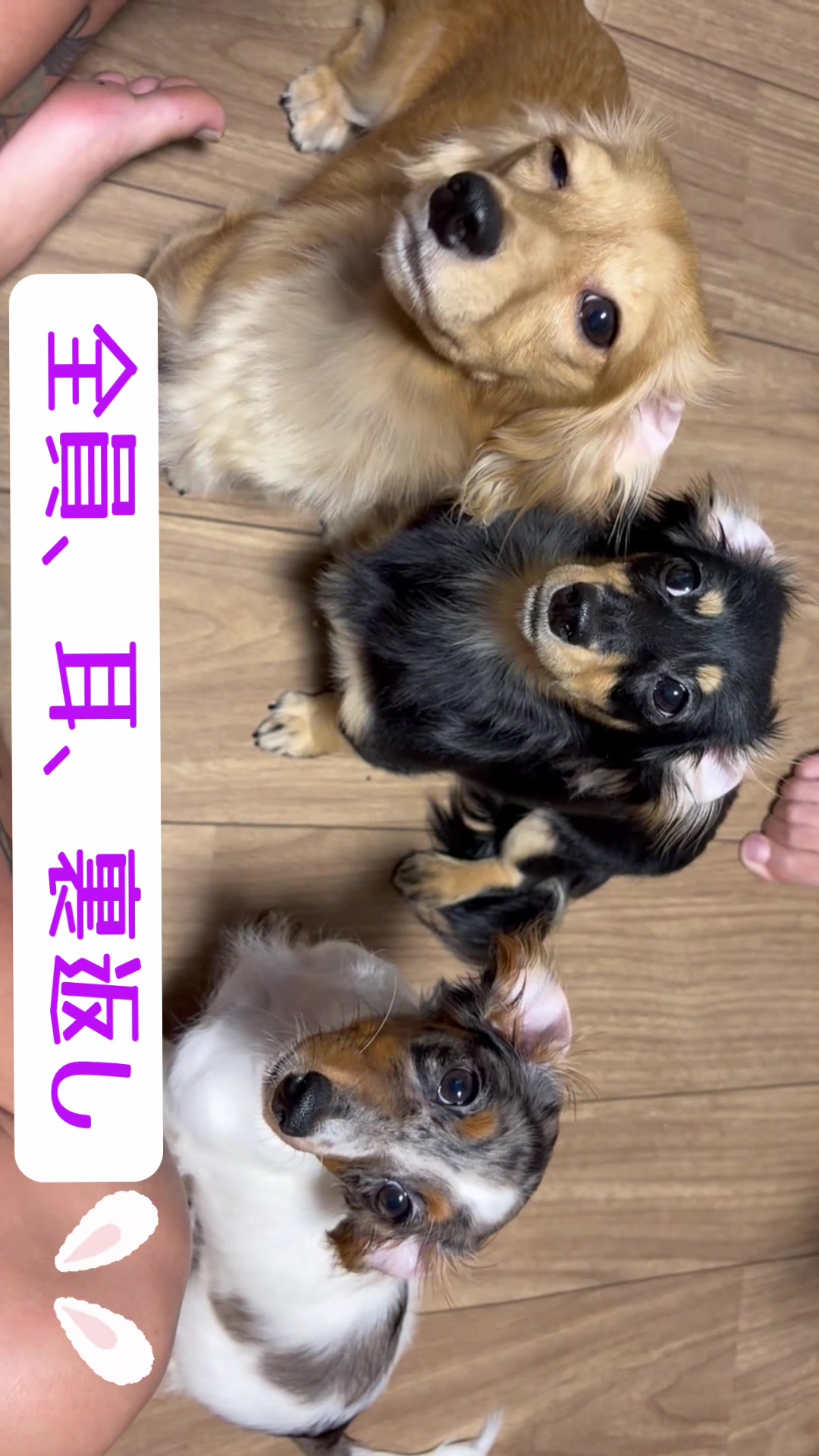 @あんちゃんまん