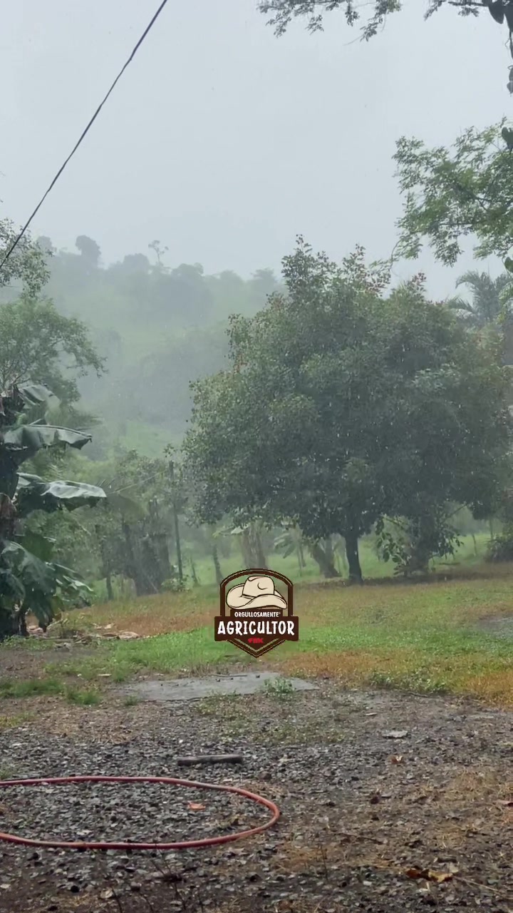 @🧑&zwj;🌾🤎🌱PAPA XEU🧑&zwj;🌾🤎🌱 C-4