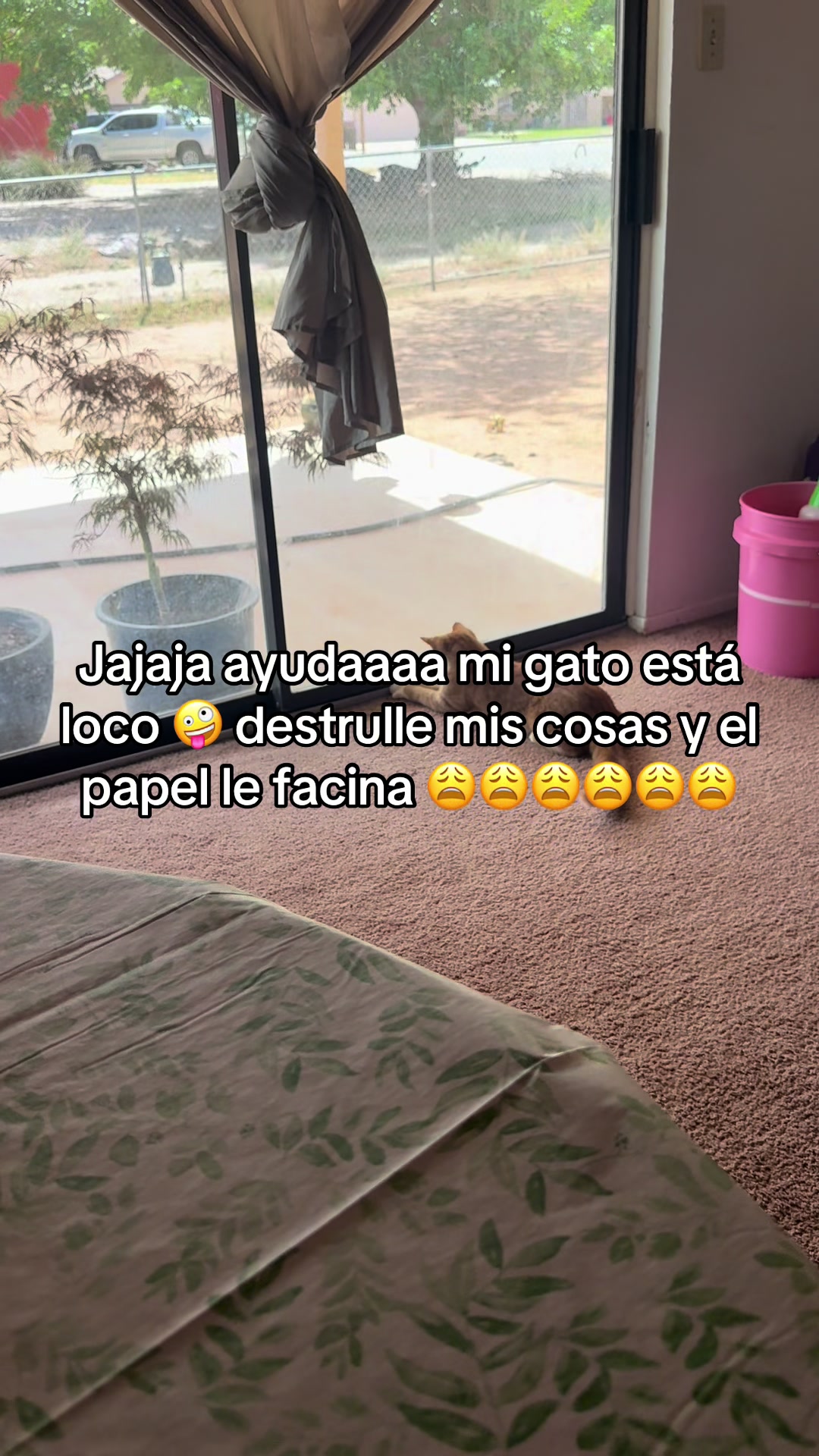 @Isa y Cris
