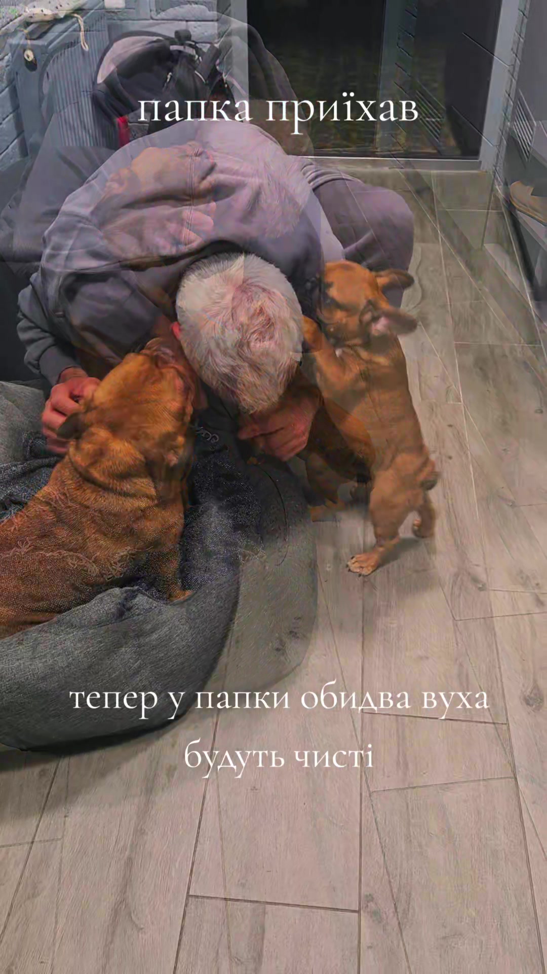 @Олена Ісаченко