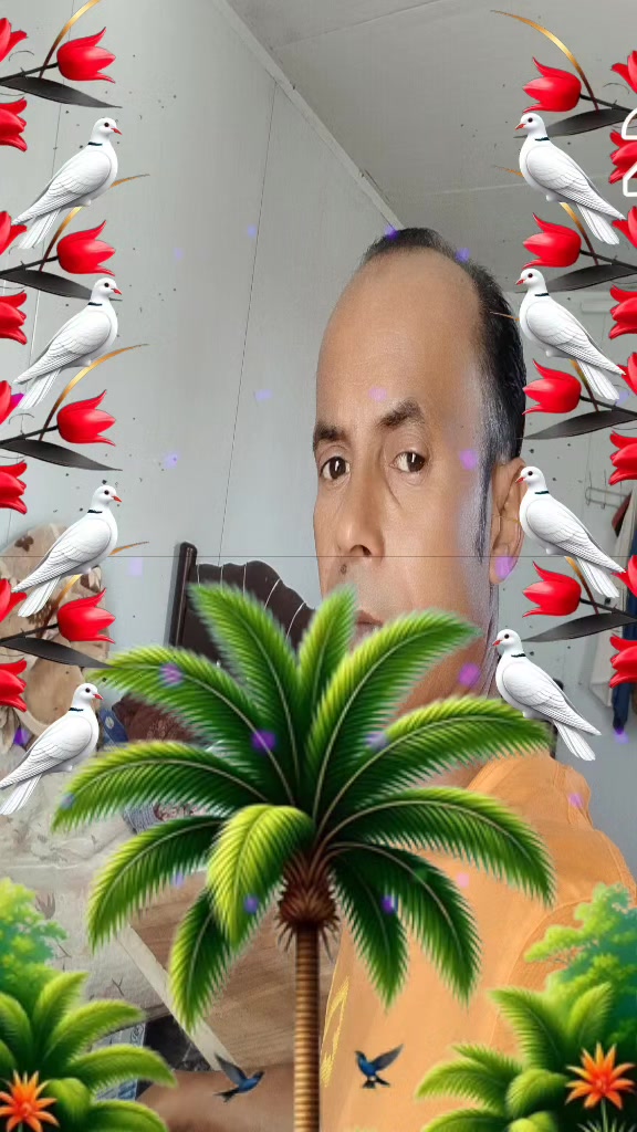 @Molla Mia