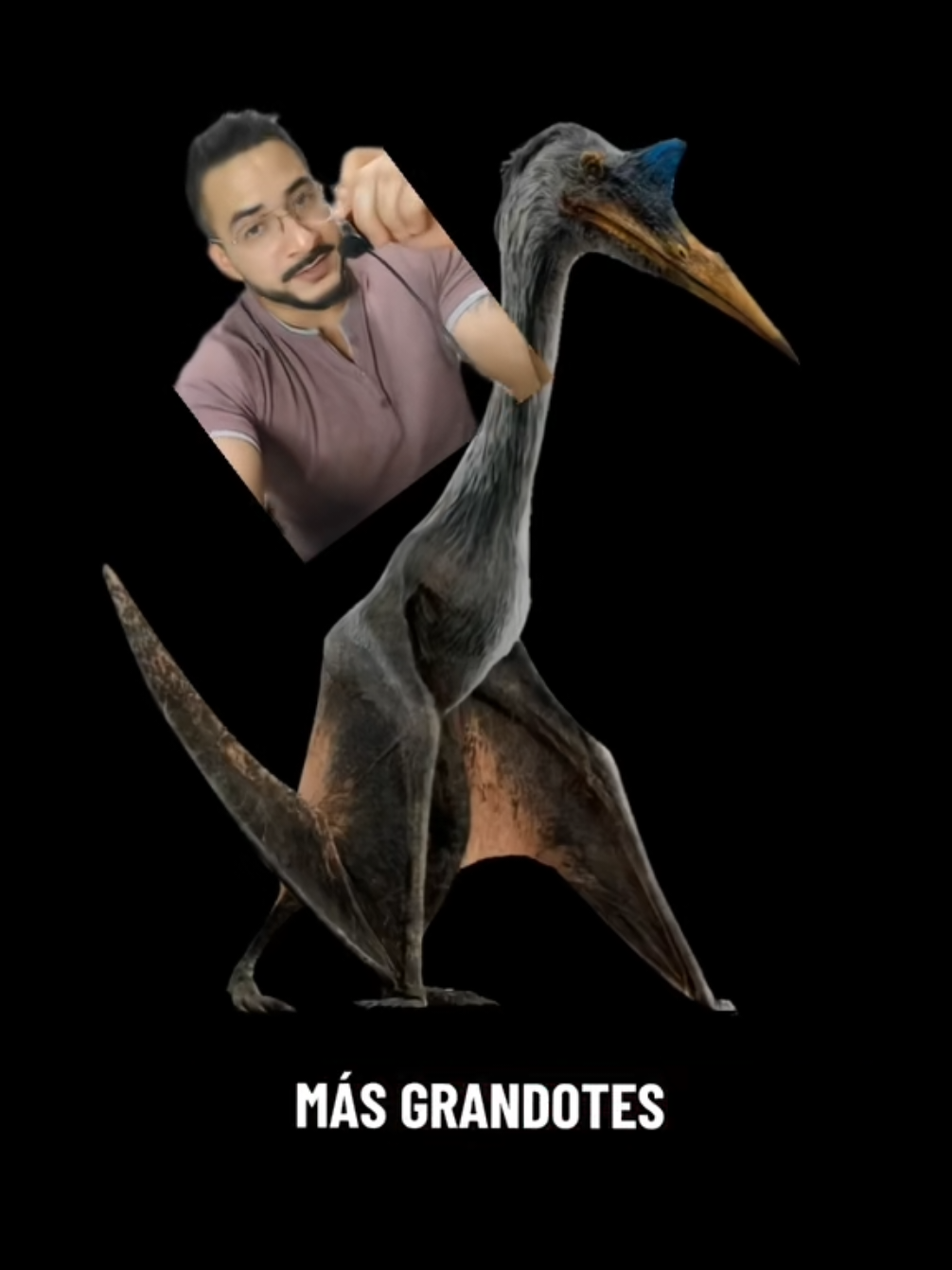 @nolosejose