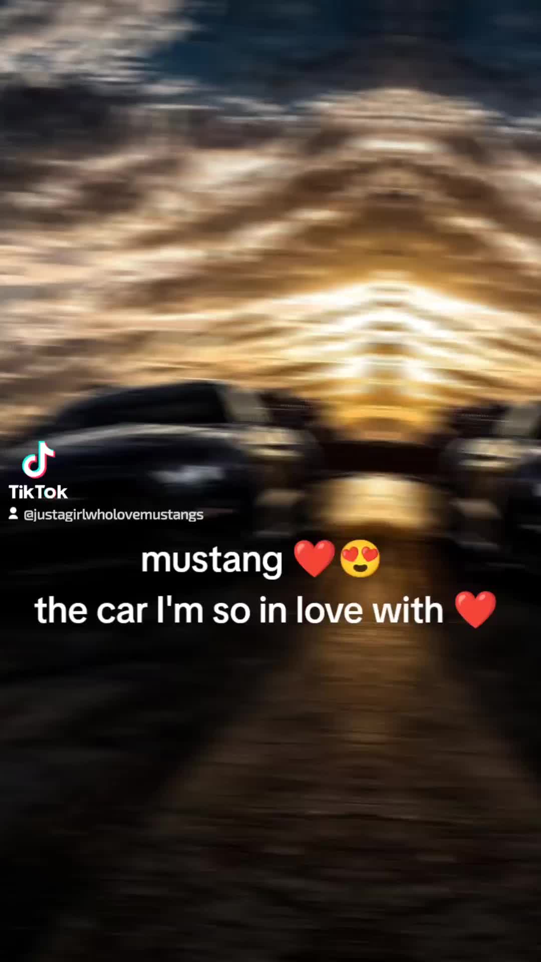 @c.c.wolfgirl18