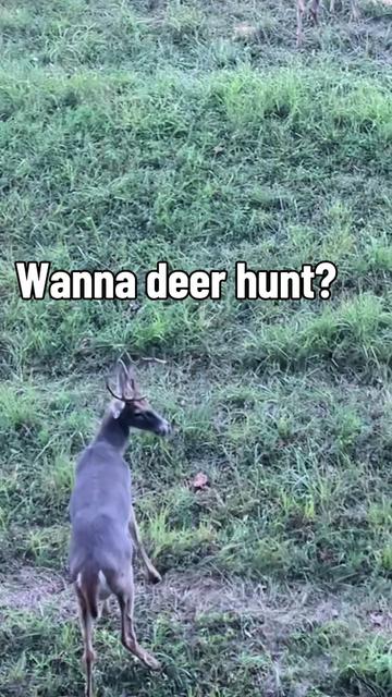 @ThatGuy1776