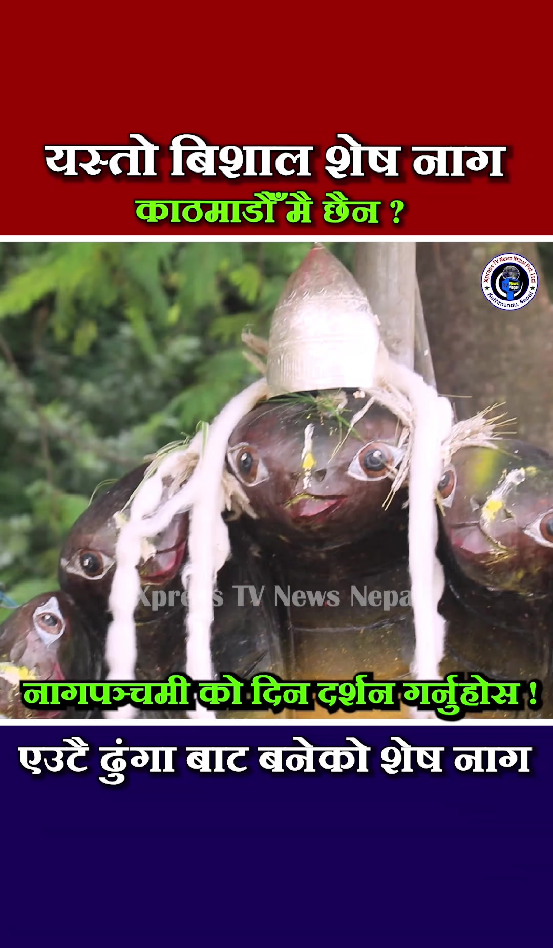 @xpress tv news nepal