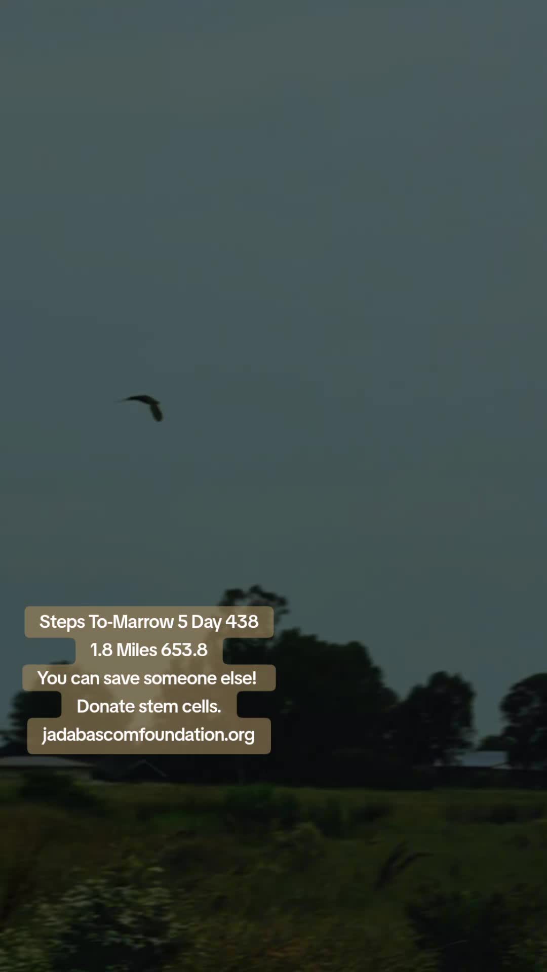 @JadaBascomFoundation