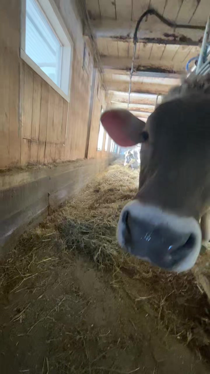 @🐮🐮🐮 la fermiere 🐮🐮🐮