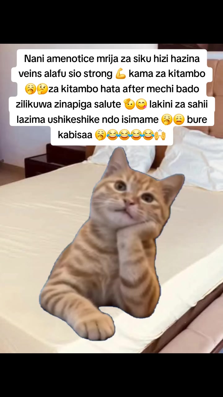 @Miss Vibez ๐ค๐๐