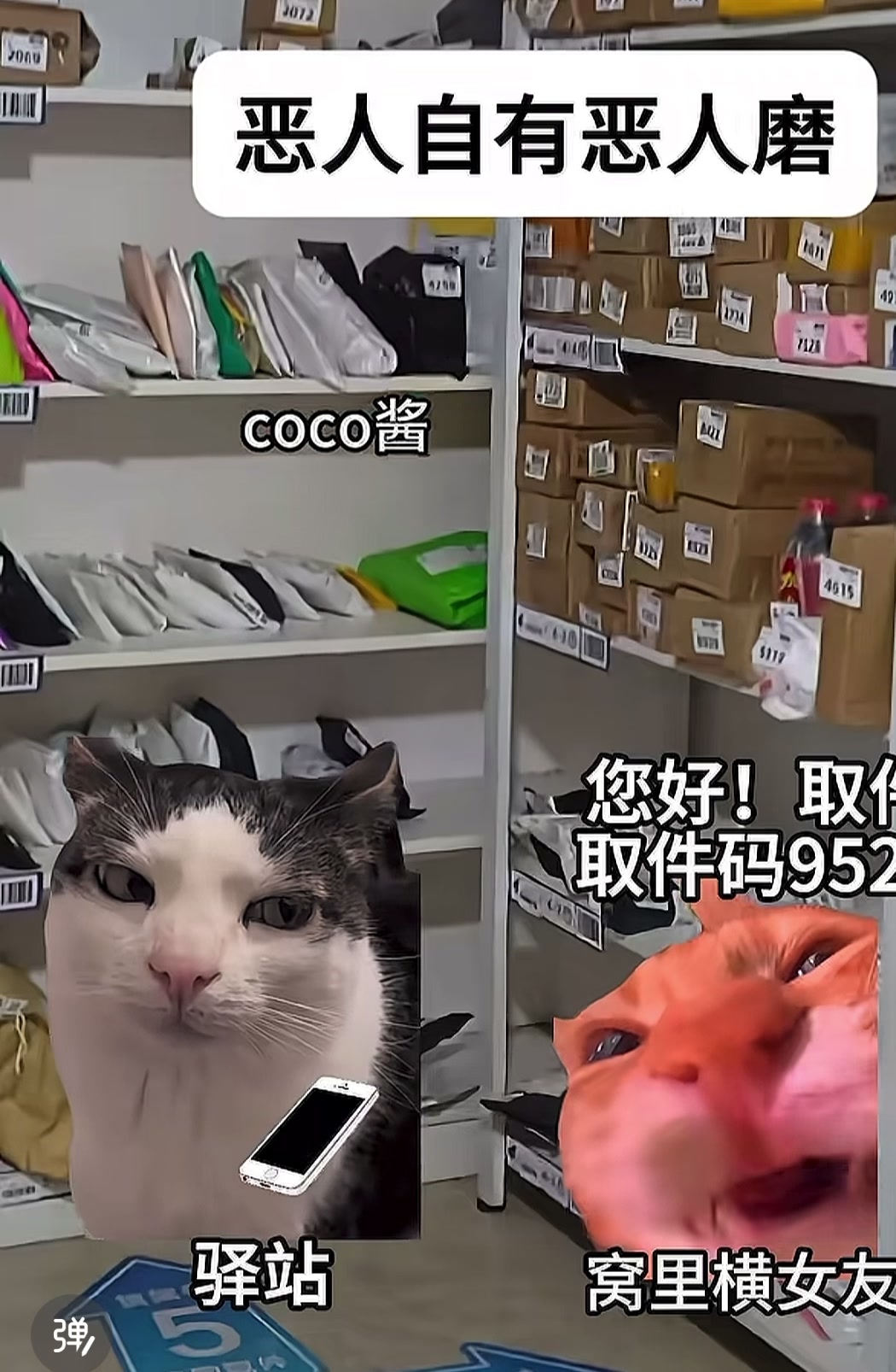 @鼠餅2
