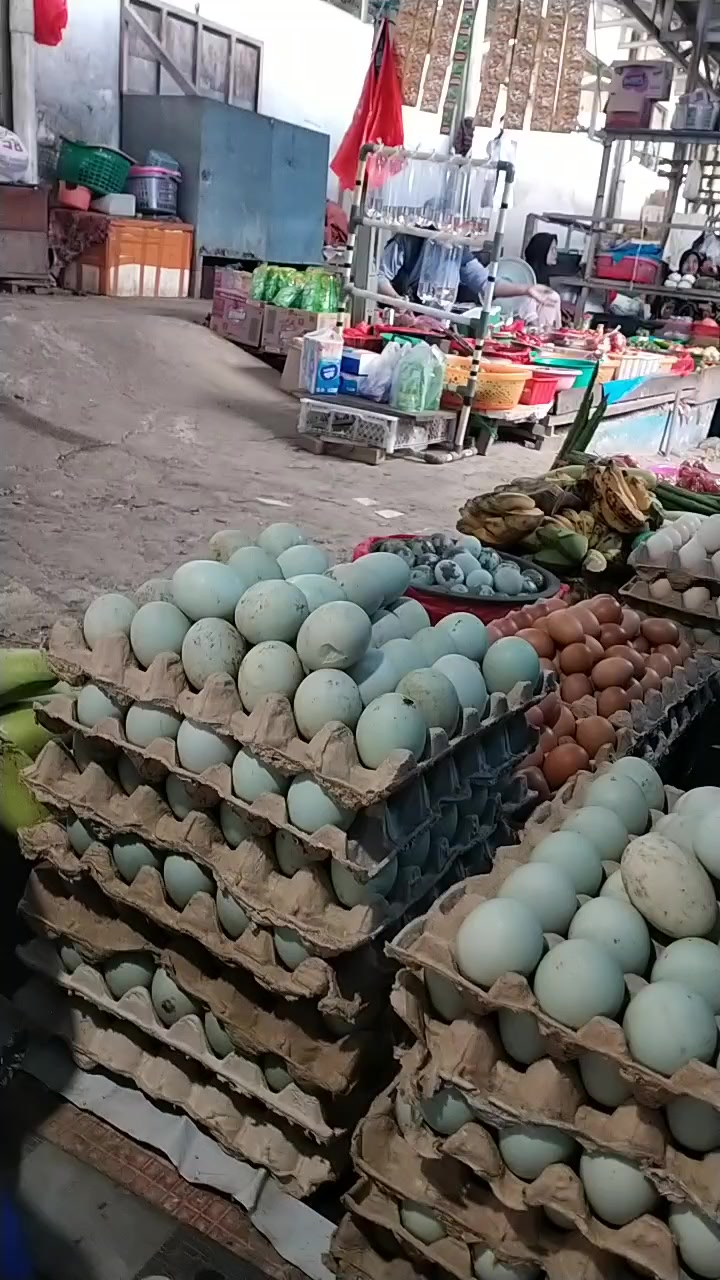 @BAHAR PAMMANA